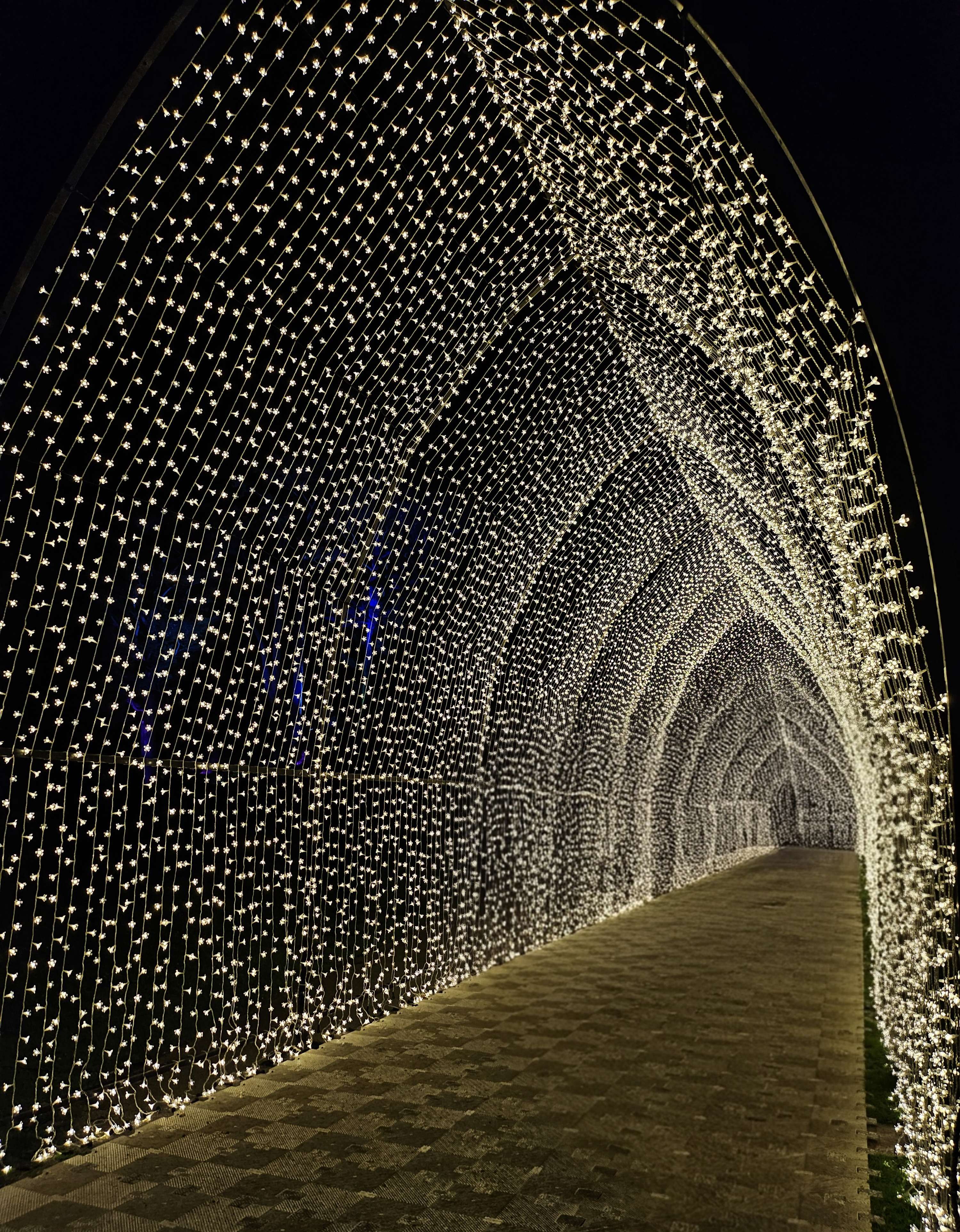 Festival with lights